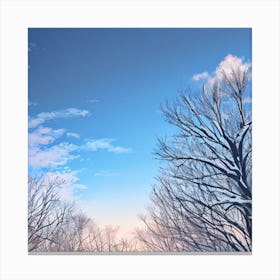 Winter Trees Stock Videos & Royalty-Free Footage Canvas Print