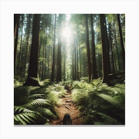 Ferns In The Forest 2 Canvas Print