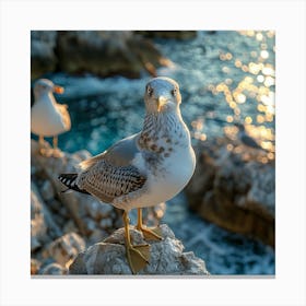 Seagulls Canvas Print