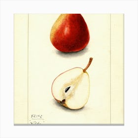 Fruit 20 Canvas Print