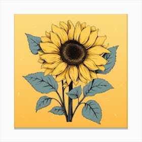 Sunflower 11 Canvas Print