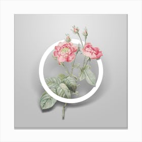 Vintage Anemone Centuries Rose Minimalist Flower Geometric Circle on Soft Gray n.0205 Canvas Print