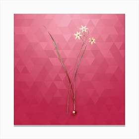 Vintage Ixia Longiflora Botanical in Gold on Viva Magenta n.0169 Canvas Print