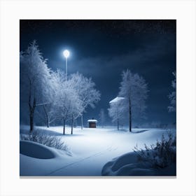 Snowy Night Canvas Print