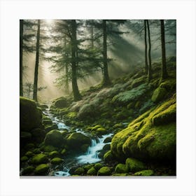 Mossy Forest Canvas Print