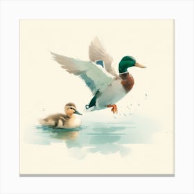 Duck And Duckling Canvas Print