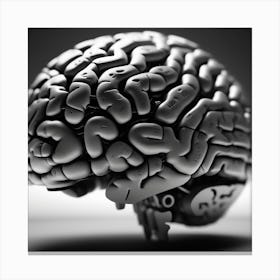 Human Brain 17 Canvas Print