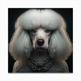 Portrait Of A Poodle Canvas Print
