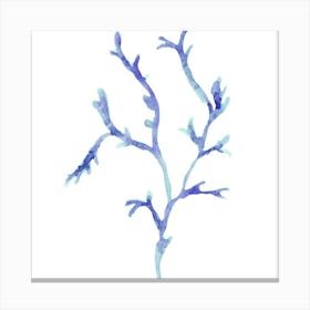 Blue Seaweed Canvas Print