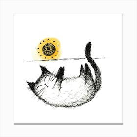 Cat Sleeping In The Sun Canvas Print