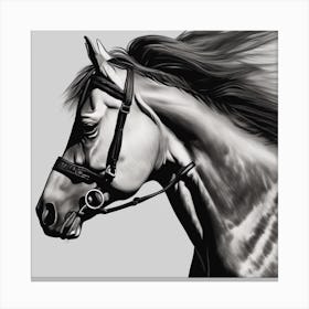 Horse Head 3 Canvas Print