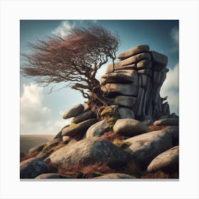 Tree On A Rock 3 Canvas Print