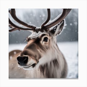 Reindeer In The Snow Canvas Print