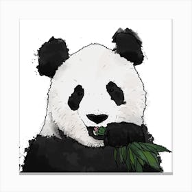 Panda And Bamboo White Square Canvas Print
