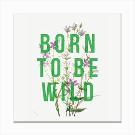 Born To Be Wild Square Canvas Print