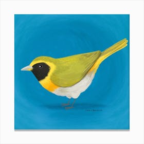 Guira Tanager Bird Canvas Print