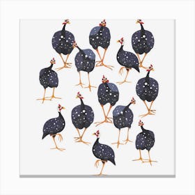 Guinea Fowl Hen Bird Art Gift Canvas Print