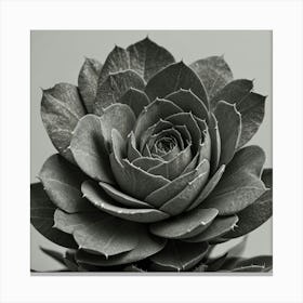 Black And White Flower Canvas Print