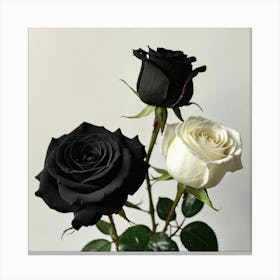 Black And White Roses 1 Canvas Print