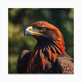 Golden Eagle Canvas Print