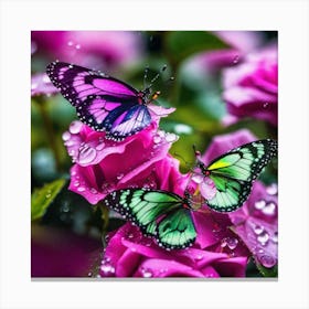 Butterflies On Pink Roses Canvas Print