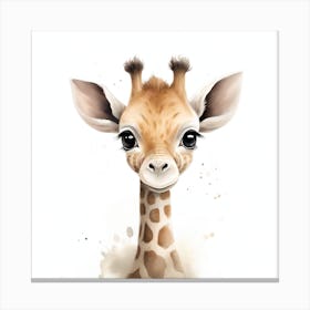 Baby Giraffe Canvas Print