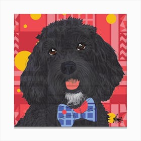 Maisie Black Cockapoo Dog Square Canvas Print