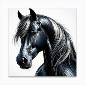 Creative Horse Beauty Illustration Nr 40 Canvas Print