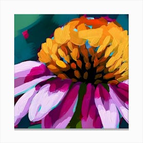 Echinacea 1 Canvas Print