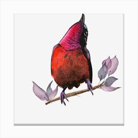 Bird On A Branch 2 Canvas Print