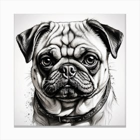 Pug Dog black and white Canvas Print