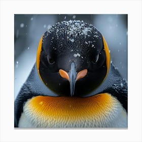 King Penguin 7 Canvas Print
