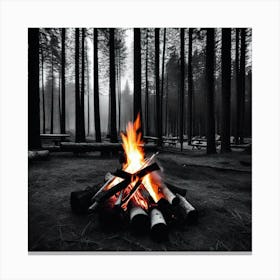 Campfire In The Forest 1 Canvas Print