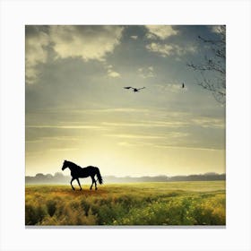 Horse In The Field 4 Canvas Print