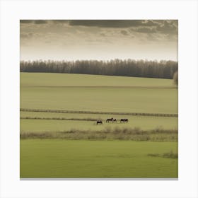 Horses In A Field 4 Canvas Print