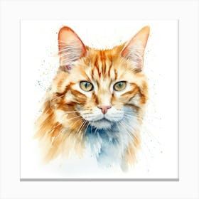 Honeybear Cat Portrait 3 Canvas Print