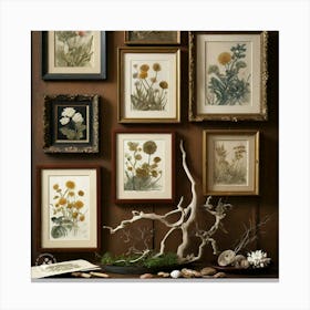 Framed Botanicals Canvas Print