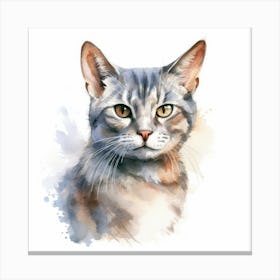 European Shorthair Cat Portrait 1 Canvas Print