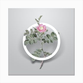 Vintage Pink Sweetbriar Rose Minimalist Floral Geometric Circle on Soft Gray n.0493 Canvas Print
