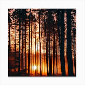 Sunrise In The Forest 1 Canvas Print