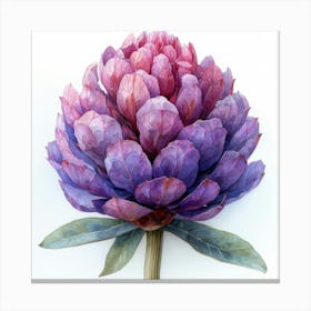 Purple Artichoke Canvas Print