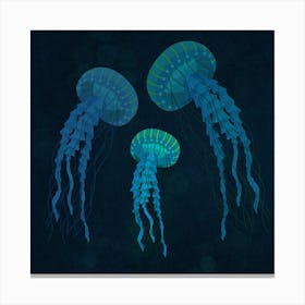 Blue triple jellyfish Canvas Print