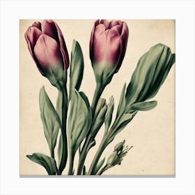 Tulips Eustoma Floral Botanical Vintage Poster Flower Art Print Canvas Print