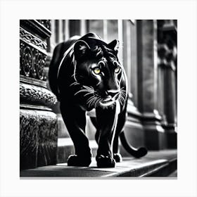 Black Panther 3 Canvas Print