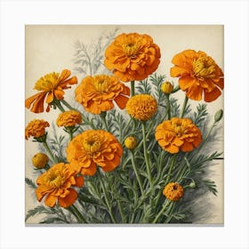 Orange Marigolds Canvas Print