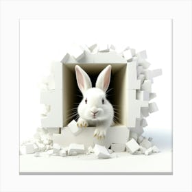 Rabbit Peeking Through A Hole 12 Canvas Print