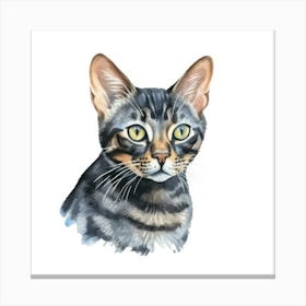 Black Bengal Cat Portrait 1 Canvas Print