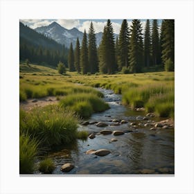 Stream In The Mountains Canvas Print