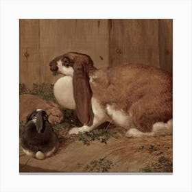 Rabbits 1 1 1 Canvas Print