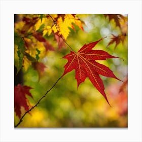 Autumn Maple Leaf Canvas Print